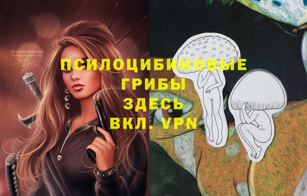 прущие грибы Нязепетровск