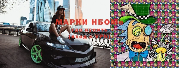 прущие грибы Нязепетровск