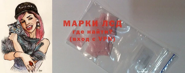прущие грибы Нязепетровск