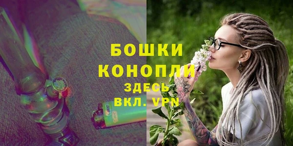 прущие грибы Нязепетровск