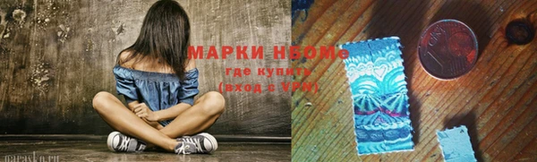 индика Заволжье