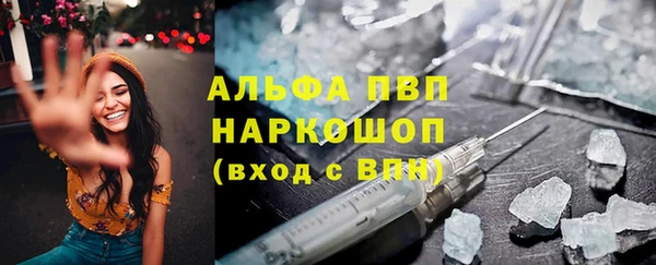 прущие грибы Нязепетровск