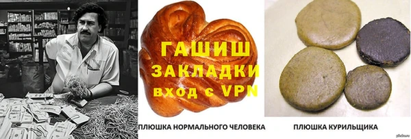индика Заволжье