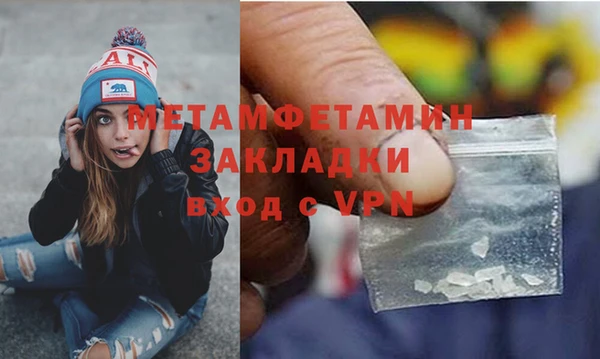 прущие грибы Нязепетровск
