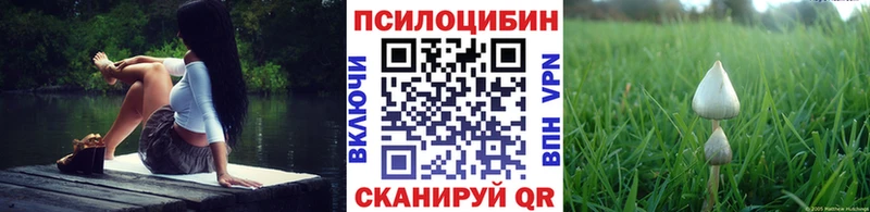 Псилоцибиновые грибы прущие грибы  Западная Двина 