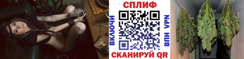 Бошки Шишки сатива  ОМГ ОМГ зеркало  Западная Двина  маркетплейс состав  купить  